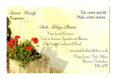 Dale Abbey Plants